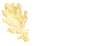 b-law_logo_footer
